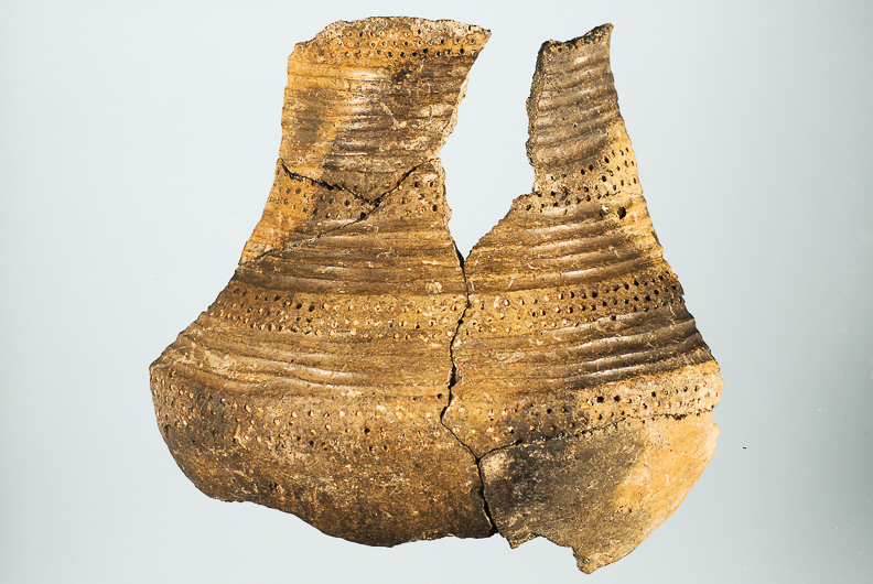 41 Vaso (Ãšbeda, JaÃ©n)